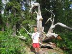 Sweden 2006-07 016